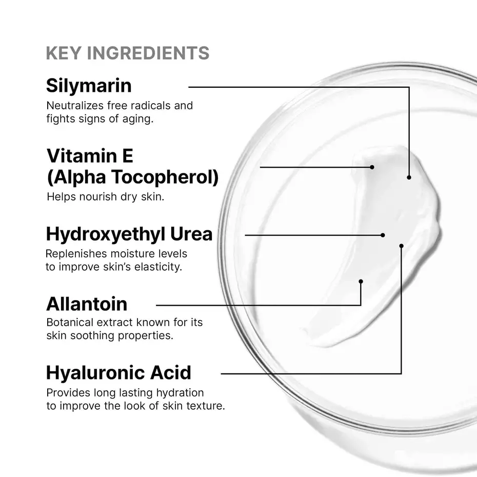 Antioxidant Lip Repair 2